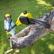 Landscape Design and Installation in Islandia, NY